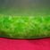 Cooksnap dari Lia Luthfia 'RWijaya untuk resep Puding Lumut Pandan