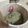 Avy T. 的 二分鐘藍莓優格微波蛋糕 cooksnap