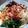 Cooksnap dari UmmuThoZhaUm untuk resep Bibimbap