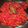 Sudipa Gope's cooksnap of when they made Beetroot Pulav.