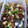 El cooksnap de Francisco Lobato Lopez cuando hizo Ensalada de melón, mango, queso y serrano crujiente con vinagreta de mango.