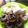 Cooksnap dari Risty untuk resep 13#Donat Kentang Lembut -Fatmah Bahalwan