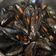 El cooksnap de jose ramon astarriaga cuando hizo Mejillones al cava.