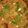 Rithanya KG's cooksnap of when they made Country Chicken Biryani/Naatu Kozhi Biryani.