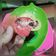 Cooksnap dari Dapur MayMel untuk resep Kue Cubit Empuk (no mixer)