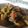Fary Feroz's cooksnap of when they made Mix sabzi.