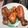 il Maria Antonietta Lovecchio quando ha preparato Honey Glazed Chicken - Pollo glassato alla salsa di soia e miele