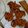 Aamna Saad's cooksnap of when they made Pakore.