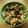 Eran Nave's cooksnap of when they made Buttery Chicken Teriyaki with Garlic and Shiso Leaves.