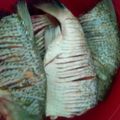 El cooksnap de lizmar cuando hizo Sopa de cabeza de pescado a la pobre.