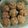 Cooksnap dari Riza kuwung untuk resep Bolu Kukus Pisang Mekar