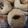 El cooksnap de Mariana Frias cuando hizo Rosquitas con harina pureza.