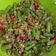 Cooksnap dari Risma Aura untuk resep Tumis Buncis Daging Cincang