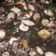 Cooksnap dari Rizkia Nurul Rachmanita untuk resep Cumi Tinta Hitam🦑