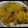 POOJA MANKAD's cooksnap of when they made સેવ ખમણી(Sev Khamani Recipe in Gujarati).