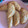 El cooksnap de Alba Baez Canalejo cuando hizo Empanadillas de atún al horno.
