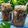 Cooksnap dari Syifa_hana untuk resep Es cappucino cincau