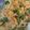 Cooksnap dari Mehruzia untuk resep Sayur urap meletop by lely