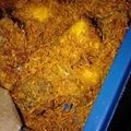 Cooksnap dari Ratna untuk resep Ayam Goreng Serundeng Kelapa