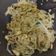 Cooksnap dari aisyah untuk resep Kwetiau Goreng (Chinese Resto)