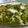 Nidhi Jay Vinda's cooksnap of when they made પાલક પનીર(Palak paneer Recipe in Gujarati).