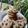 Cooksnap dari Lola Sugeng untuk resep Cookies good time