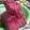 Cooksnap dari Pesona Dewi untuk resep Bolu Jadul Red Velvet