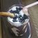 Sneha Patel's cooksnap of when they made કાજુ,અંજીર,ખજૂર શેક(Cashew,fig,dates shake recipe in Gujarati).