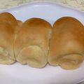 Cooksnap của Giang khi họ làm theo món •| BÁNH MỲ SỮA NCKD |•