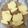 Cooksnap dari Ati Agus Sapto (Mom's Firza) untuk resep Cookies / Kukis Dasar utk KUKIS HIAS