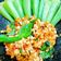Cooksnap dari Yuli Tiarni untuk resep Sambal tempe kemangi