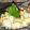 Soofia Abdullah's cooksnap of when they made 7 maslay Baisan k Dahi baray #iftarContestwithHuma #Cookpadapp.