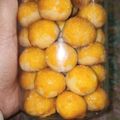 Cooksnap dari tutusari untuk resep Nastar glowing lembut lumer di mulut
