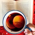 Cooksnap Aga Dymek - Aga_z_zielonej_Umbrii z czasów, kiedy przygotował 2 Grudnia - Cookpadowy Kalendarz Adwentowy.