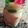 Sheenay Khan's cooksnap of when they made Vanilla custard with colourful vermicelli and jelly.