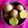 sonal Trivedi 's cooksnap of when they made ફલાફલ (Falafel Recipe In Gujarati).