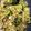 Cristina Franck's cooksnap of when they made Salteado de Quinoa y verduras.
