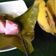 Cooksnap dari Ummu Aqim untuk resep Nagasari Pisang