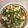 Geeta Khurana's cooksnap of when they made Paneer Butter Masala.