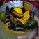 Cooksnap dari Manda Ndoet Unyu-unyu untuk resep Kerang ijo saos padang (endezz bikin nagih) ga bau amis