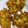 Cooksnap dari Regina untuk resep Bakwan sayur
