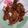 Cooksnap dari Evita untuk resep Jangkang goreng telur