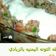 صورة من أم حاتم "، شاركها بعد تجربة وصفة سلطة تونا