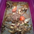 Cooksnap dari Milca Melati Mistica Leo untuk resep Malbi Iga Domba