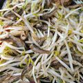 Cooksnap dari Indira untuk resep Tumis Toge Ikan Bilis