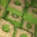 Cooksnap dari Heni Darmawan untuk resep Putri Ayu Simple