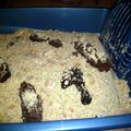 Ashley's cooksnap of when they made Kitty Litter Cake ~ halloween.