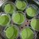 Cooksnap dari Itha Ruslan untuk resep Lumpur Surga