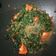 Cooksnap dari Riska Lestari untuk resep Tumis Kangkung Balacan