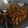 Cooksnap dari Hanifah Khan untuk resep Kering Tempe, Kacang, Teri Krenyess ala winda